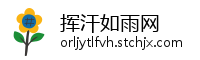 挥汗如雨网